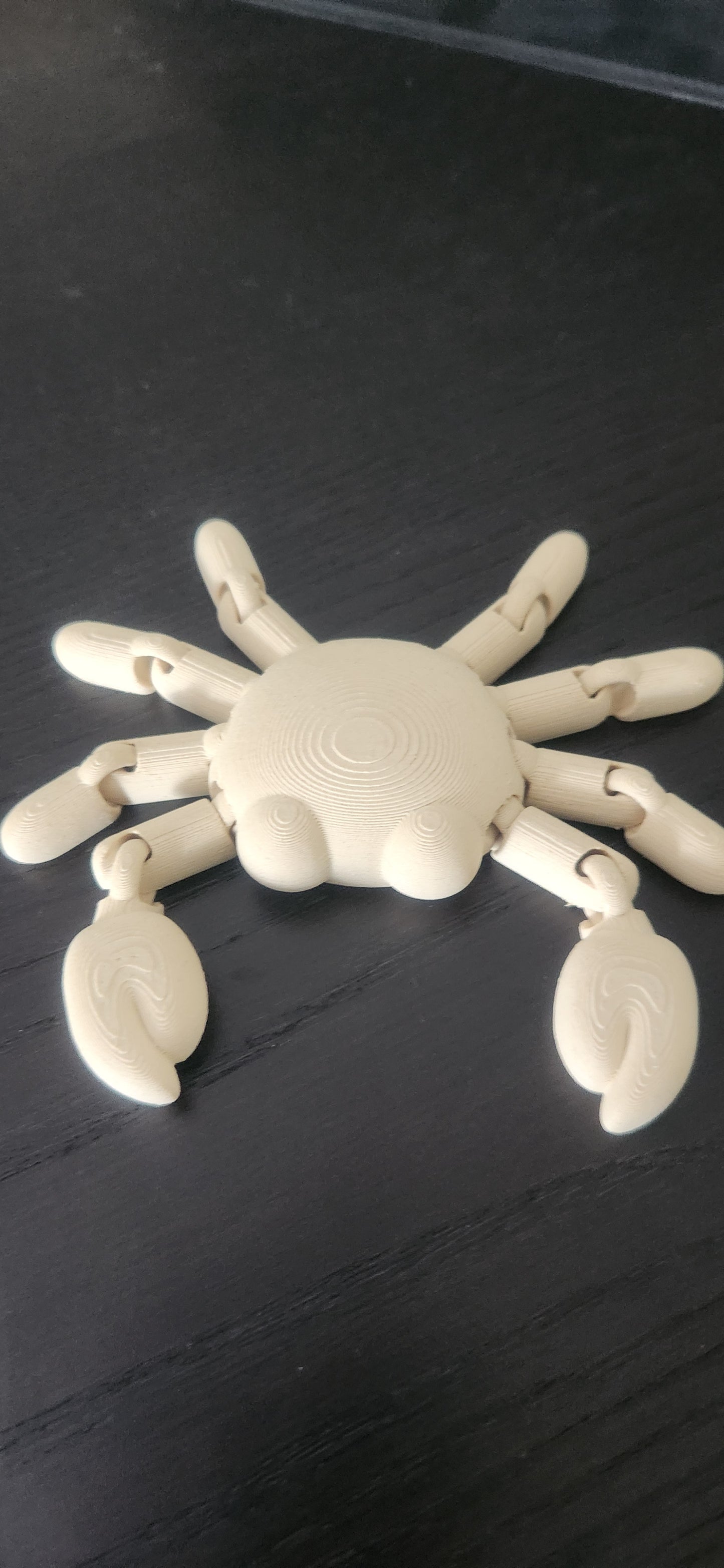 fidget crab