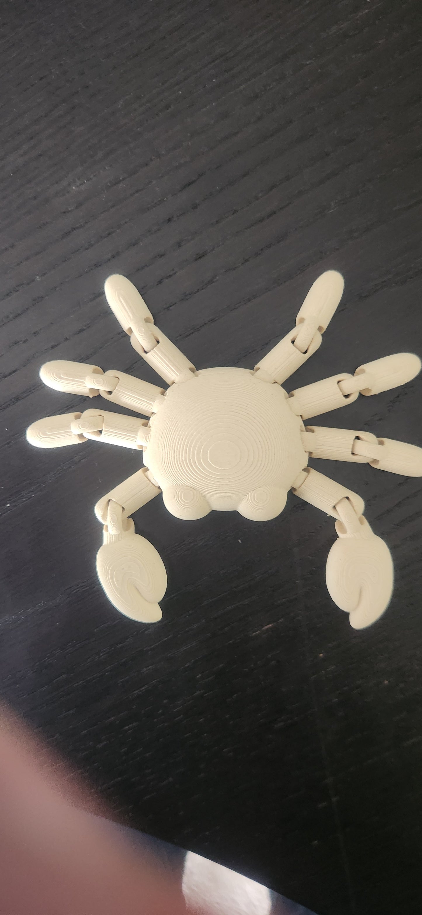 fidget crab