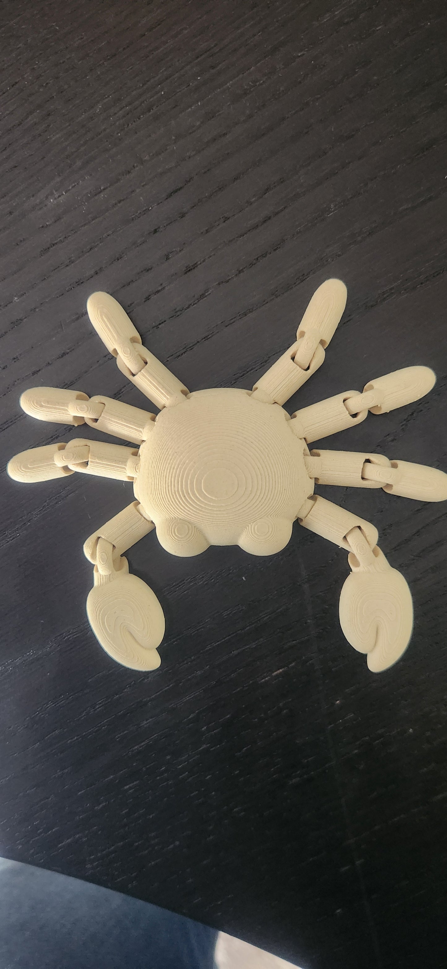 fidget crab